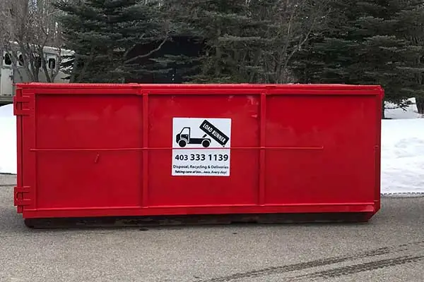 load runner bin